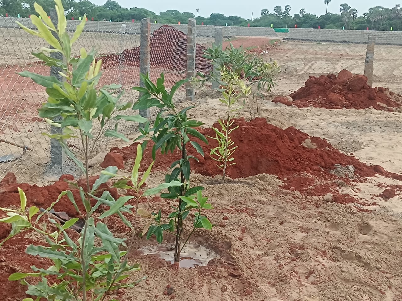 WhatsApp Image 2025-07-04 at 5.13.09 AM