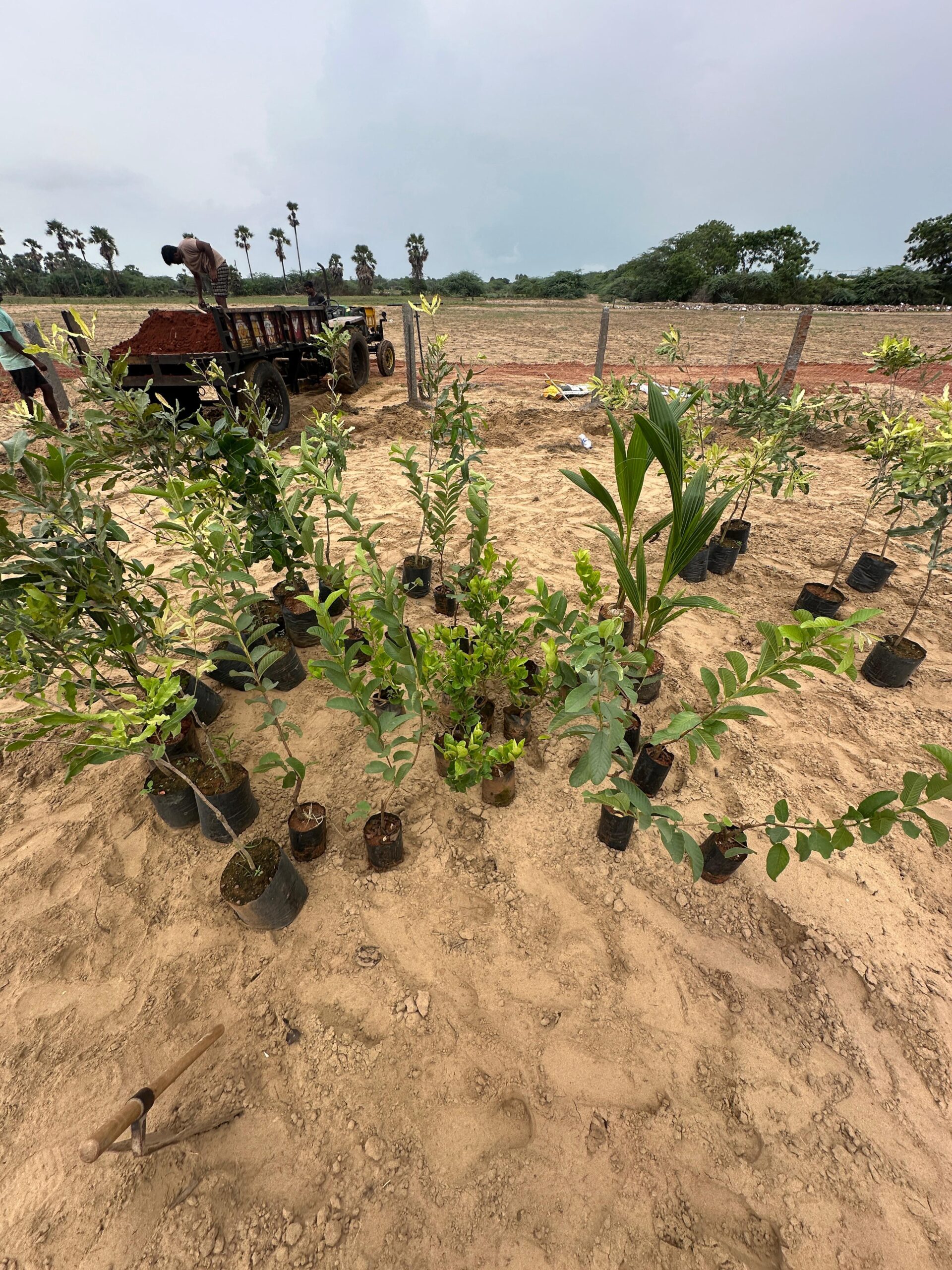 Green Home Living – Macadamia Plots in Machilipatnam